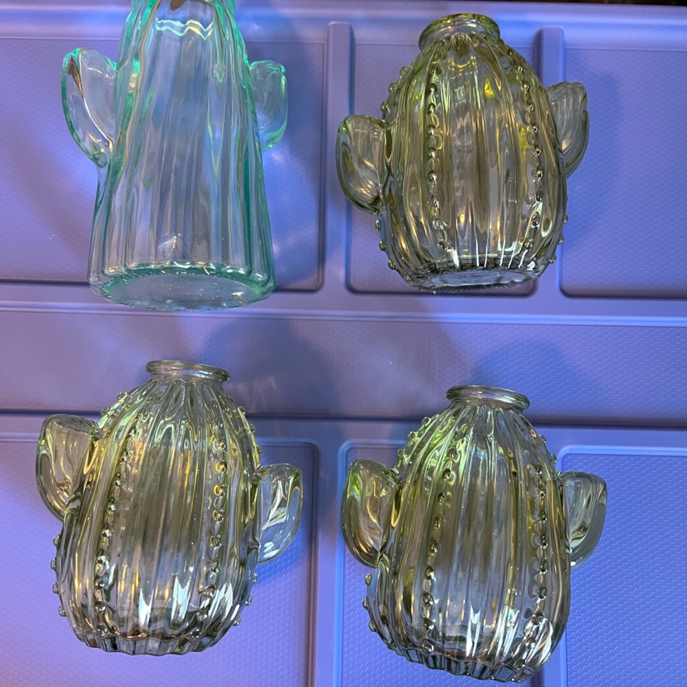 4 cactus vases